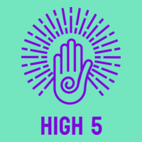 High 5 LLC